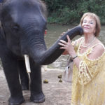 elephant-soins-magnetisme