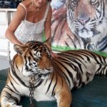 tigre-soins-magnetisme-2