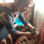 chat-soins-magnetisme-3