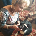 Soins magnétisme chat