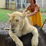 Soins magnétisme lionne