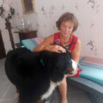 Magnetisme d'un chien